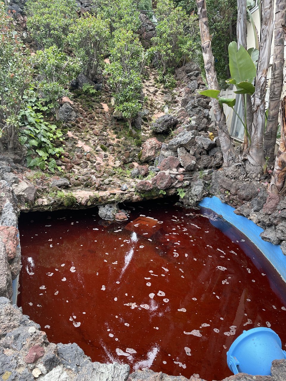 Horace Heidt's Magnolia Estate Apartments7