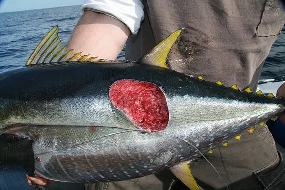 main-qimg-91aec42cd801d922be19f08314500d8f-pjlq